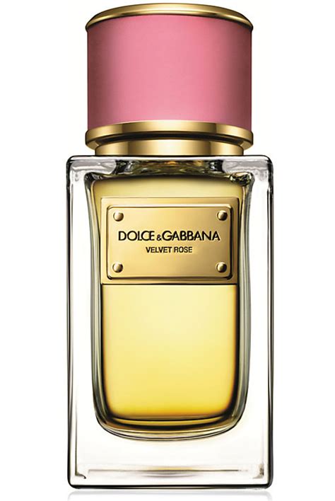 best dolce gabbana perfume for women|dolce and gabbana unisex fragrance.